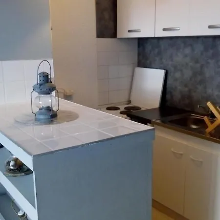 Joli Studio A 350 M Des Pistes 33 Appartement