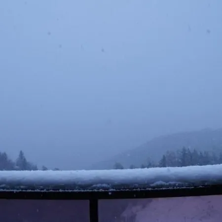 Appartement Joli Studio A 350 M Des Pistes 33 *